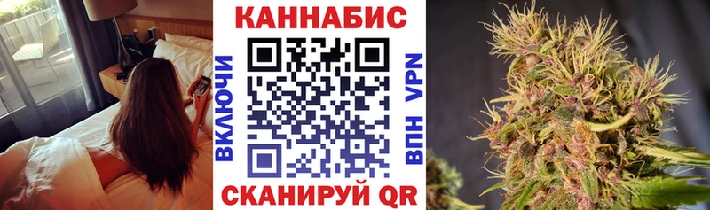цены Стерлитамак Канабис семена